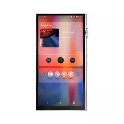 iBasso DX340 à Genève | Digistore.ch