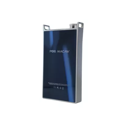 iBasso PB6 Macaw à Genève | Digistore.ch