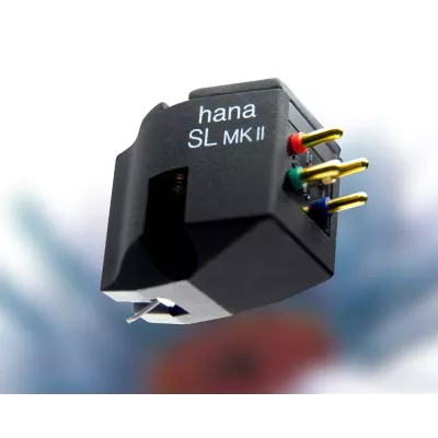 Hana SL MK II a Ginevra | Digistore.ch