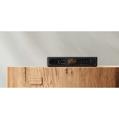 FiiO DM15 R2R à Genève | Digistore.ch