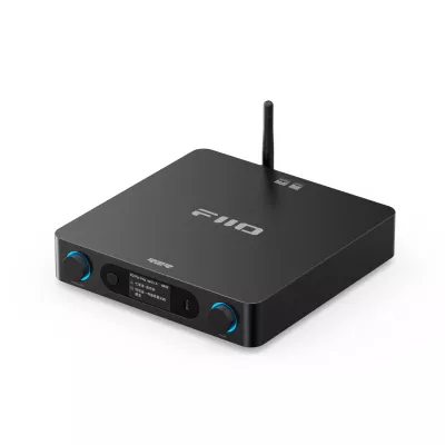 FiiO BR15 R2R à Genève | Digistore.ch
