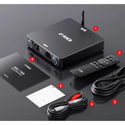 FiiO BR15 R2R in Geneva | Digistore.ch