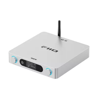FiiO BR15 R2R à Genève | Digistore.ch
