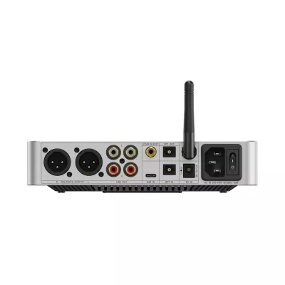 FiiO BR15 R2R à Genève | Digistore.ch