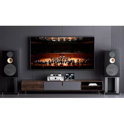 FiiO BR15 R2R à Genève | Digistore.ch