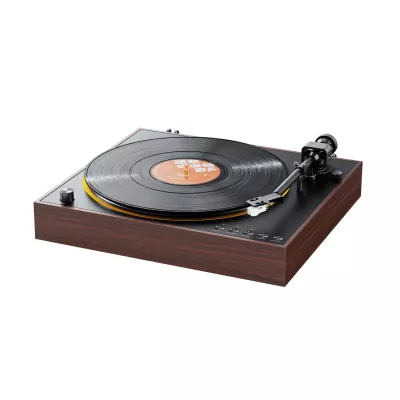 FiiO TT11 in Geneva | Digistore.ch