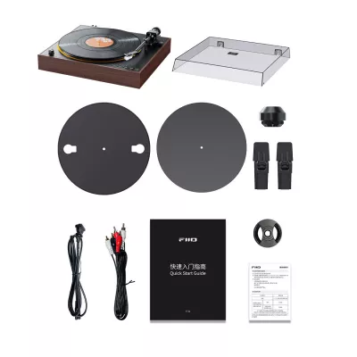 FiiO TT11 in Geneva | Digistore.ch