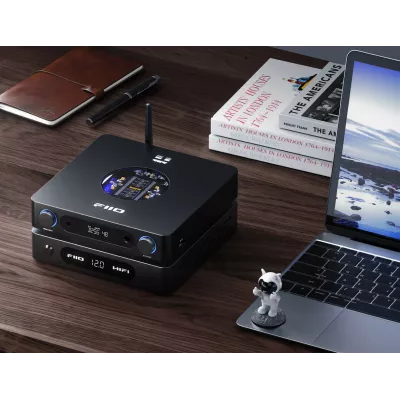FiiO Darkside Pro in Genf | Digistore.ch