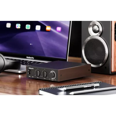 FiiO Level 1 in Genf | Digistore.ch