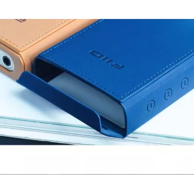 FiiO SK-M21 à Genève | Digistore.ch