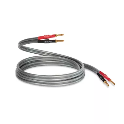 QED Reference XT40i à Genève | Digistore.ch