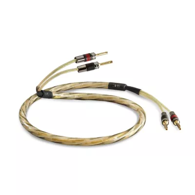 QED Golden Anniversary XT à Genève | Digistore.ch
