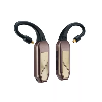 iFi Audio GO pod Max a Geneve | Digistore.ch