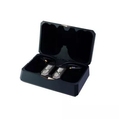 iFi Audio GO pod Max in Genf | Digistore.ch
