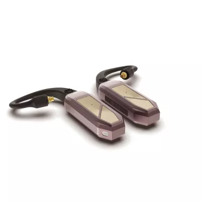 iFi Audio GO pod Max in Genf | Digistore.ch