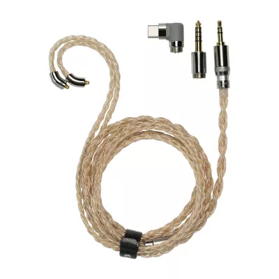 FiiO LC-RE Pro in Geneva | Digistore.ch