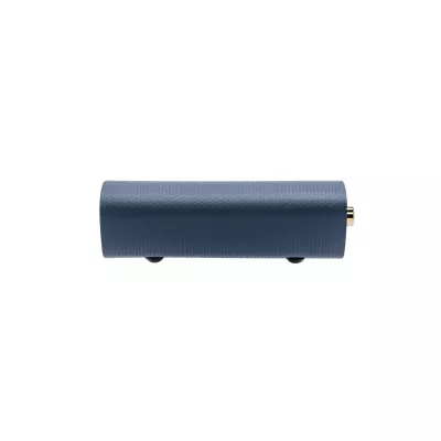iFi Audio ZEN Air Blue 2 in Genf | Digistore.ch