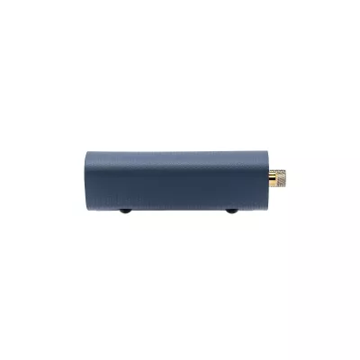 iFi Audio ZEN Air Phono 2 in Geneva | Digistore.ch