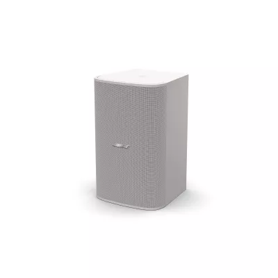 Bose Professional DM 10S-SUB White in Genf | Digistore.ch
