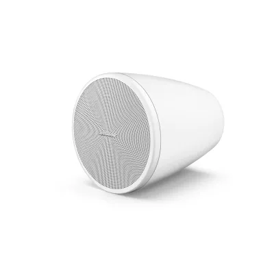 Bose Professional DM 3P White a Ginevra | Digistore.ch