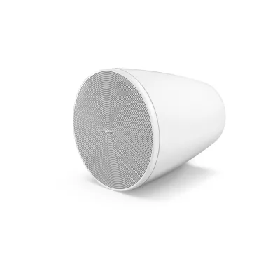 Bose Professional DM 5P White a Ginevra | Digistore.ch
