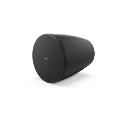 Bose Professional DM 6P Black à Genève | Digistore.ch