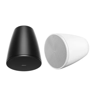Bose Professional DM 6P Black à Genève | Digistore.ch
