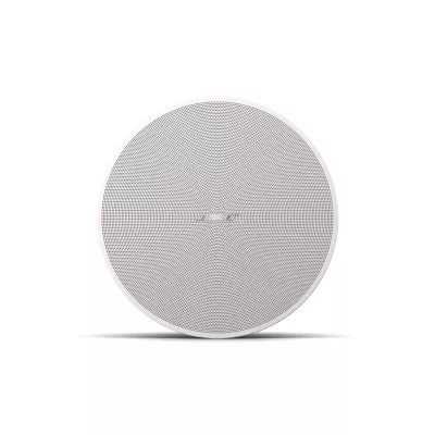 Bose Professional DM 5C Black a Ginevra | Digistore.ch