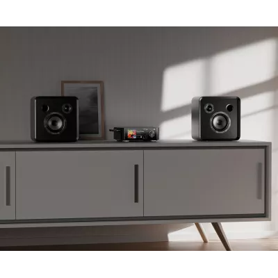 Eversolo SE-100 in Genf | Digistore.ch