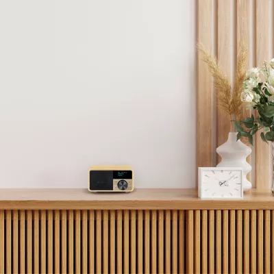 Sangean DDR-7 in Geneva | Digistore.ch