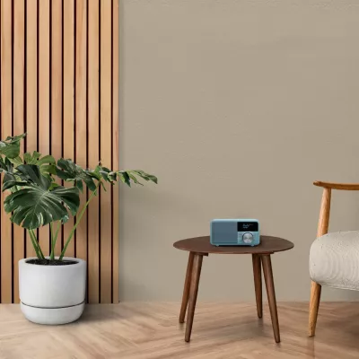Sangean DDR-7 à Genève | Digistore.ch