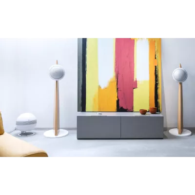 Cabasse Baltic 5 supporto rovere a Ginevra | Digistore.ch
