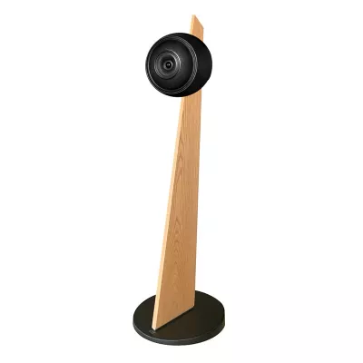 Cabasse Baltic 5 supporto rovere a Ginevra | Digistore.ch