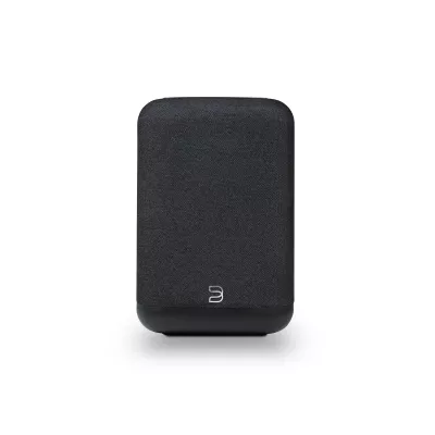 Bluesound Pulse Flex P130 à Genève | Digistore.ch