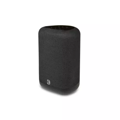 Bluesound Pulse Flex P130 à Genève | Digistore.ch