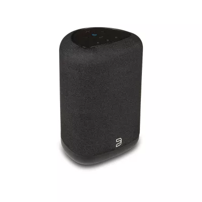 Bluesound Pulse Flex P130 à Genève | Digistore.ch