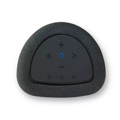 Bluesound Pulse Flex P130 à Genève | Digistore.ch