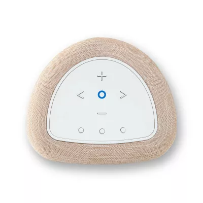 Bluesound Pulse Flex P130 à Genève | Digistore.ch