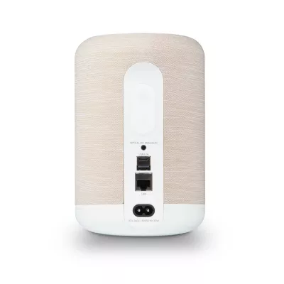 Bluesound Pulse Flex P130 à Genève | Digistore.ch