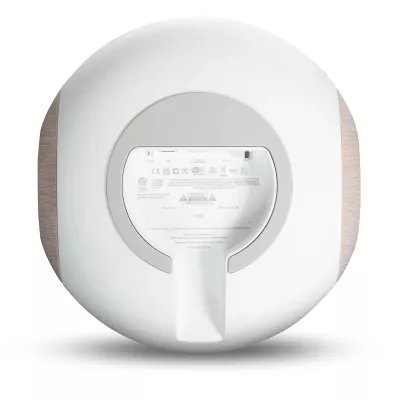 Bluesound Pulse Sub SW200 à Genève | Digistore.ch