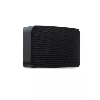 BlueSound Pulse Mini 2i in Geneva | Digistore.ch