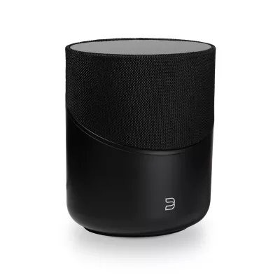 BlueSound Pulse M in Geneva | Digistore.ch