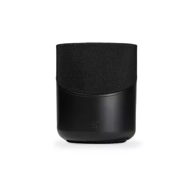 BlueSound Pulse M in Geneva | Digistore.ch