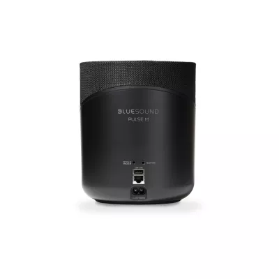 BlueSound Pulse M in Geneva | Digistore.ch