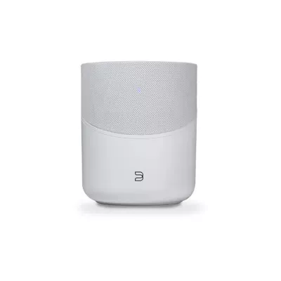 BlueSound Pulse M in Geneva | Digistore.ch