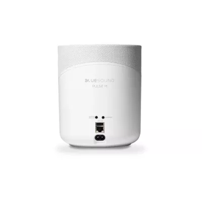 BlueSound Pulse M in Geneva | Digistore.ch
