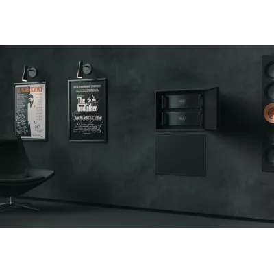 Hegel C55 à Genève | Digistore.ch