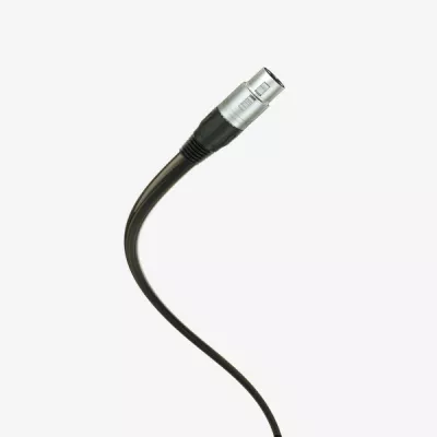 T+A Audio Duo à Genève | Digistore.ch