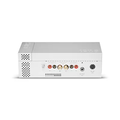 Chord Electronics Suzi Amp in Genf | Digistore.ch