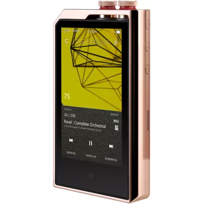 Plenue L 256 Go cuivre à Genève | Digistore.ch